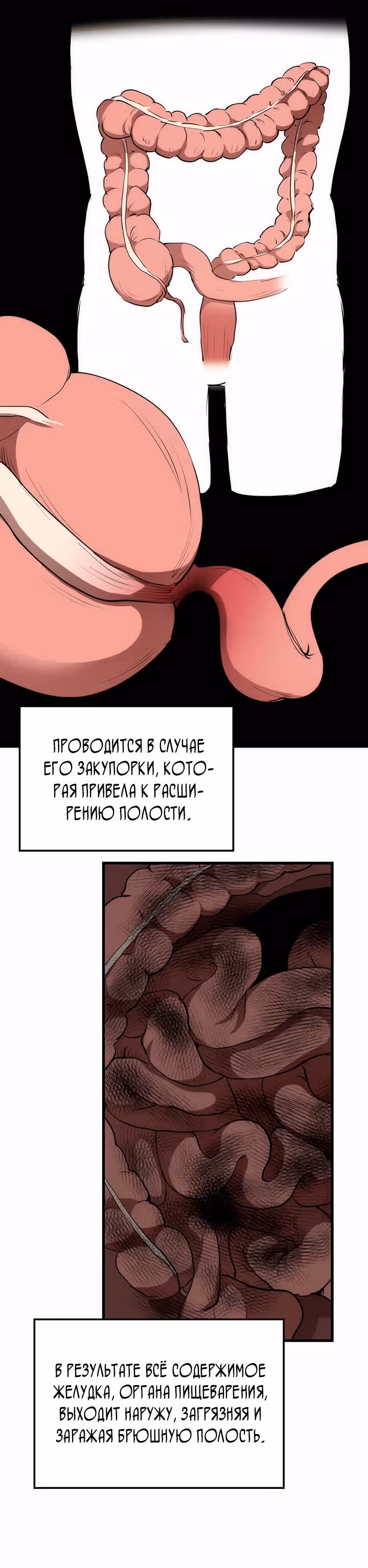 Вторая жизнь хирурга — Том 1 · Глава 39, страница 13