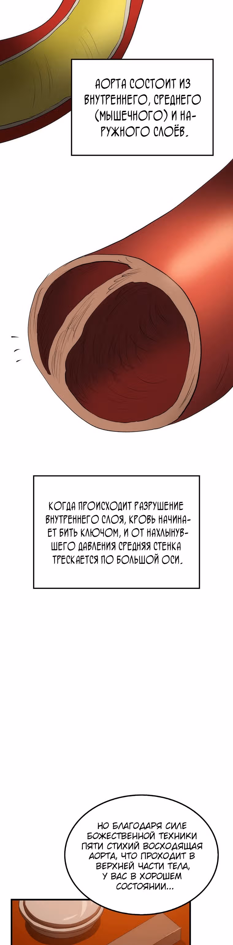 Вторая жизнь хирурга — Том 1 · Глава 58, страница 38