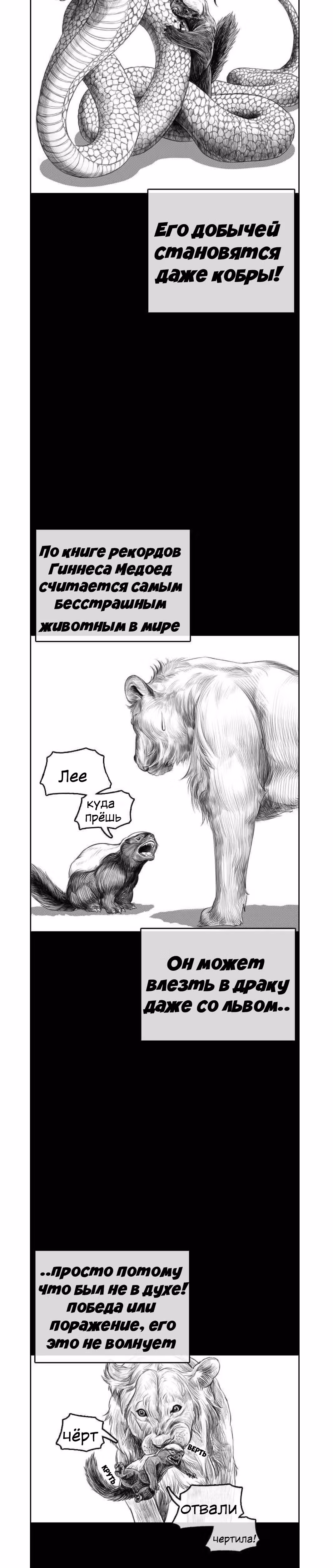 Жизнь Неудачника — Том 1 · Глава 4, страница 2