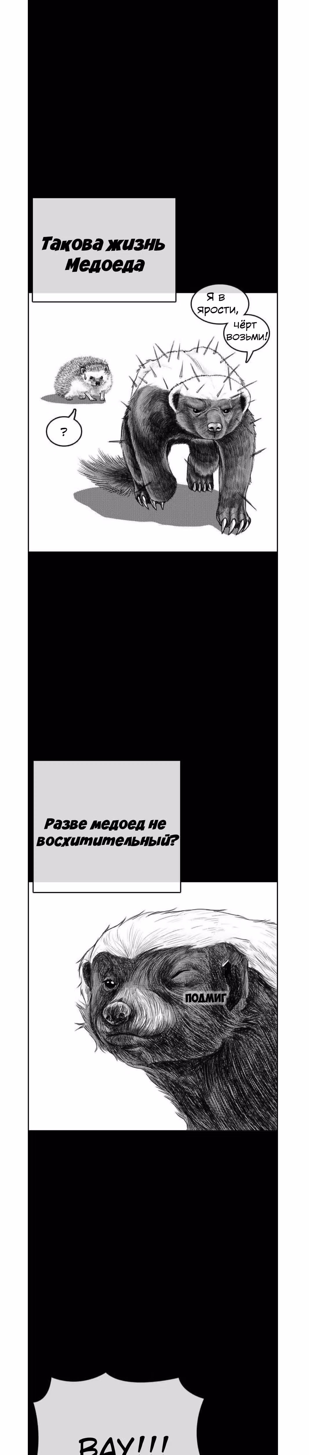Жизнь Неудачника — Том 1 · Глава 4, страница 3
