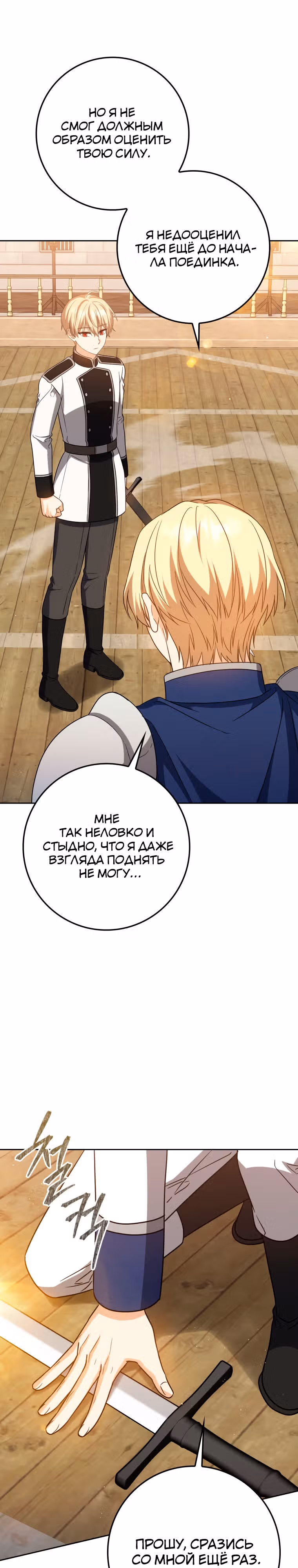 Переродившийся убийца — гений фехтования — Том 1 · Глава 28, страница 24