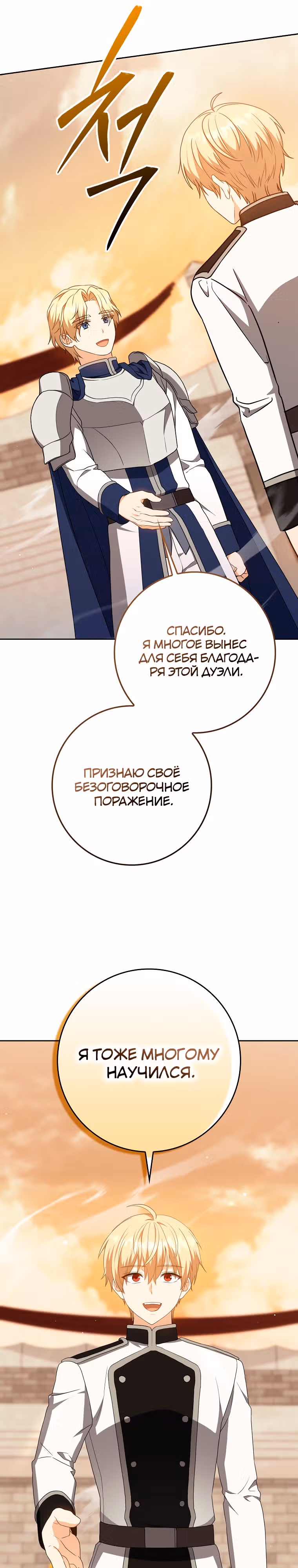 Переродившийся убийца — гений фехтования — Том 1 · Глава 29, страница 17