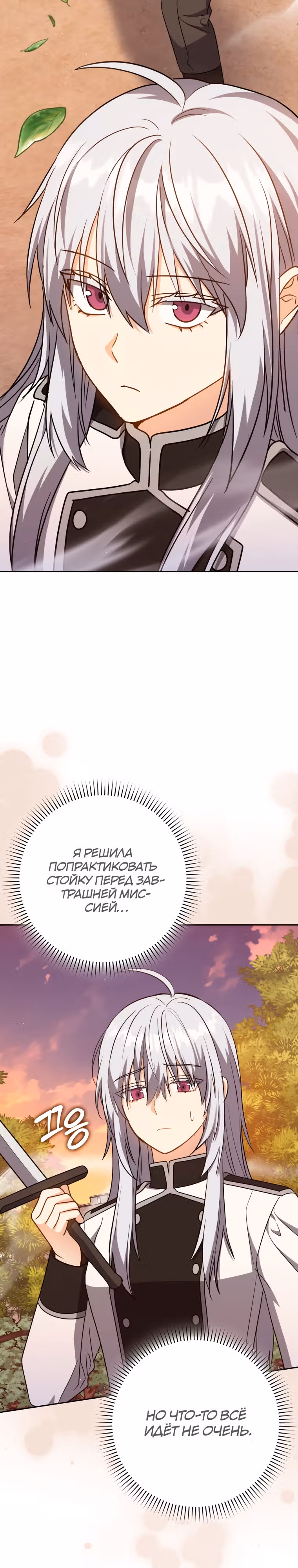 Переродившийся убийца — гений фехтования — Том 1 · Глава 30, страница 9
