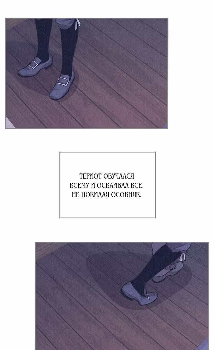 Она и зверь — Том 1 · Глава 26, страница 11