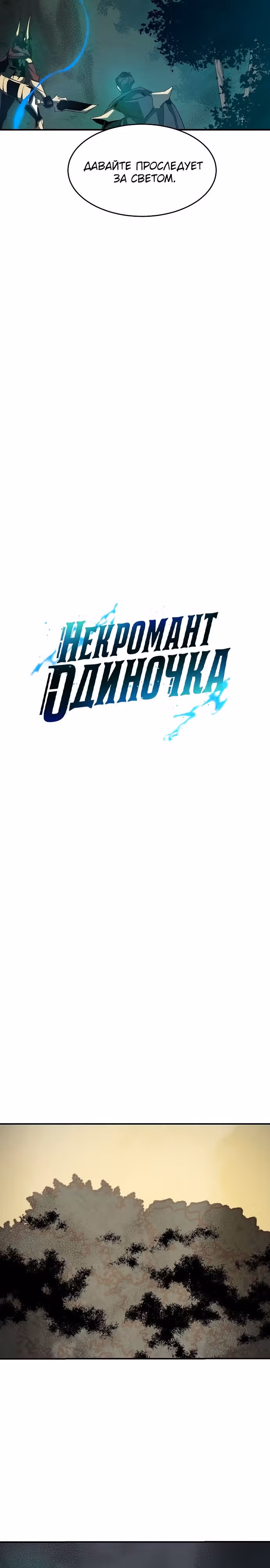 Некромант-одиночка — Том 2 · Глава 115, страница 21
