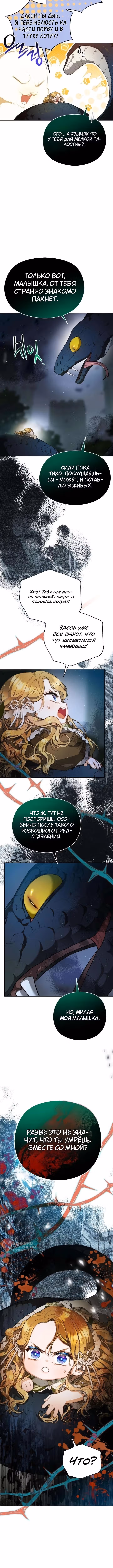 Дикая невестка герцогского дома — Том 1 · Глава 5, страница 9