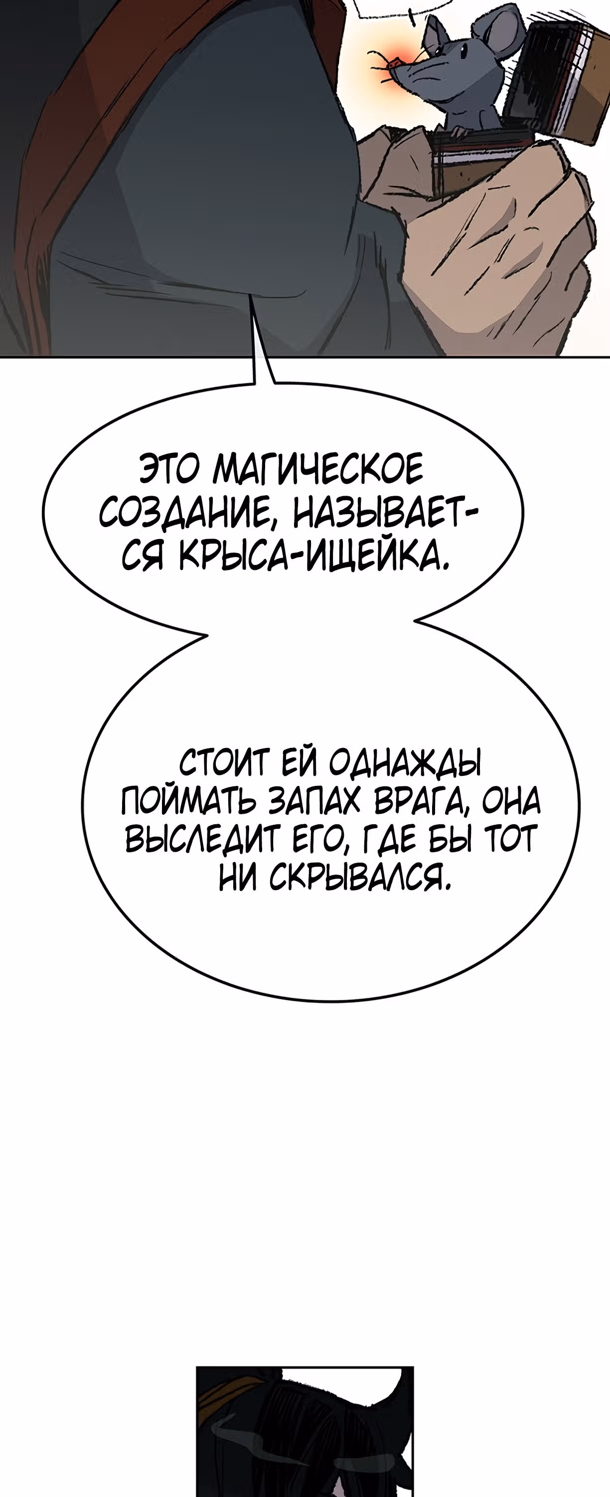 Непобедимый мечник — Том 1 · Глава 53, страница 18
