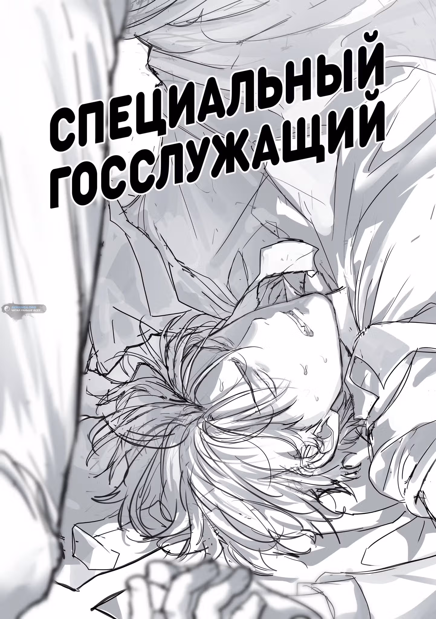 Специальный госслужащий — Том 1 · Глава 39, страница 45