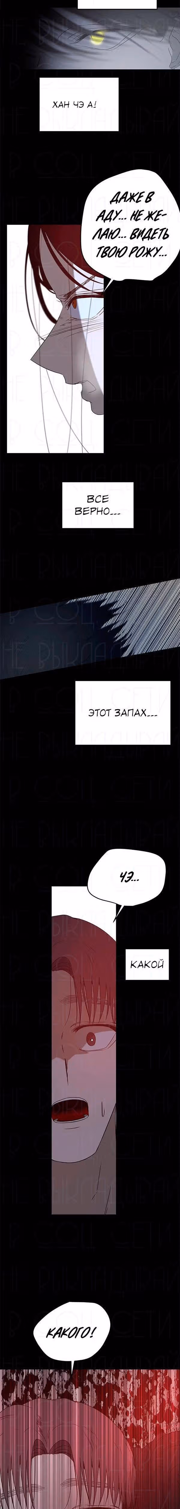 Петля — Том 1 · Глава 50, страница 38