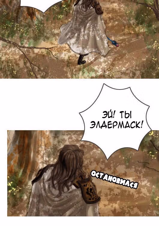 Чародей — Том 1 · Глава 2, страница 32