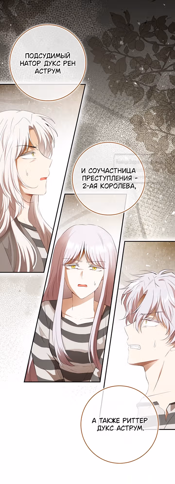 Одарённая Белочка — Том 3 · Глава 118, страница 3