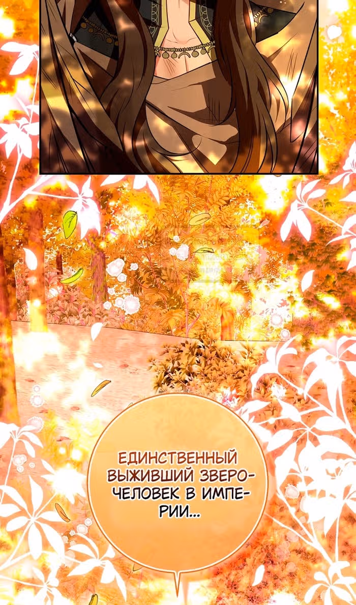 Одарённая Белочка — Том 3 · Глава 113, страница 51