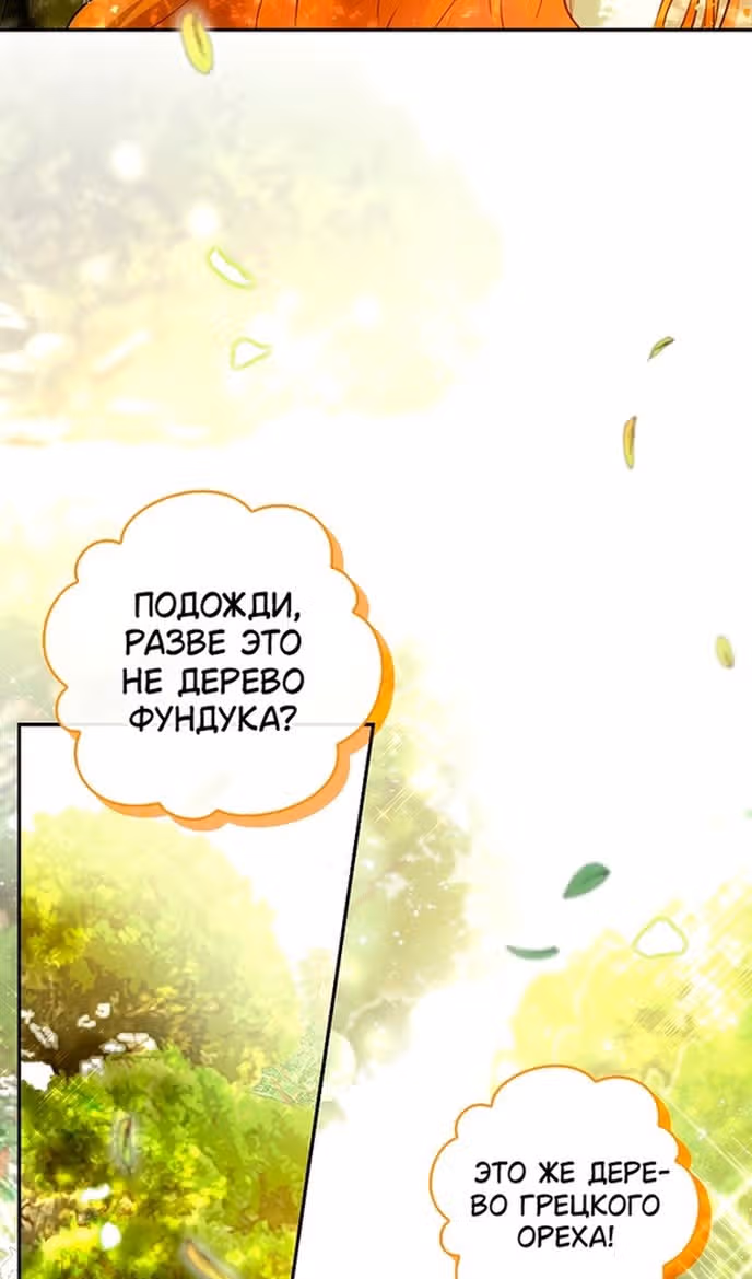 Одарённая Белочка — Том 3 · Глава 91, страница 52