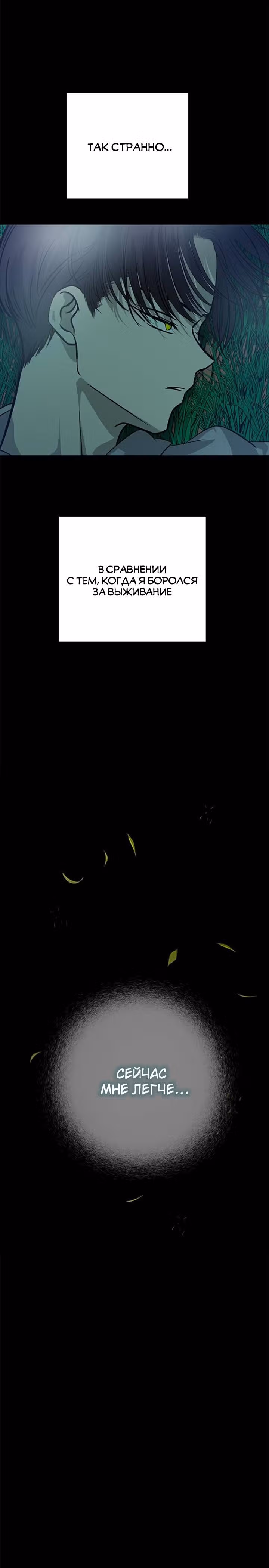 Петля — Том 1 · Глава 188, страница 29