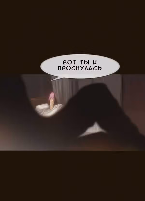 Чародей — Том 1 · Глава 60, страница 24