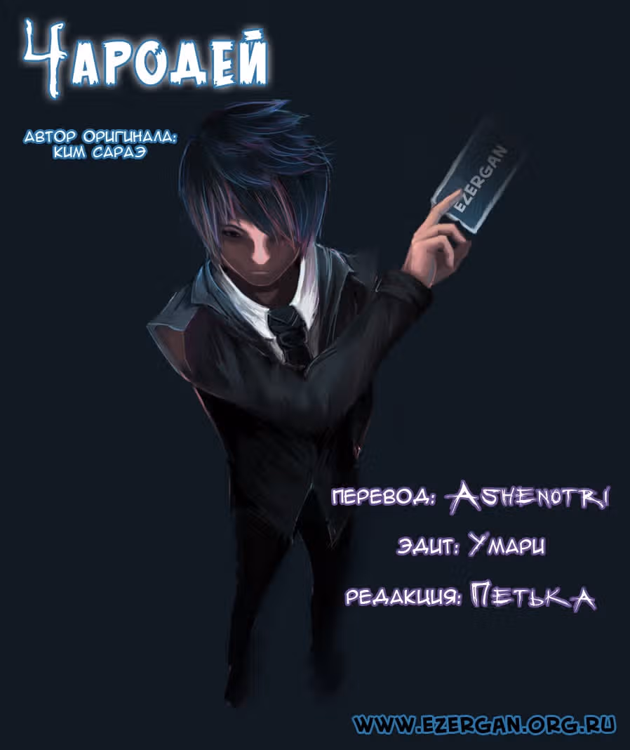 Чародей — Том 1 · Глава 91, страница 17