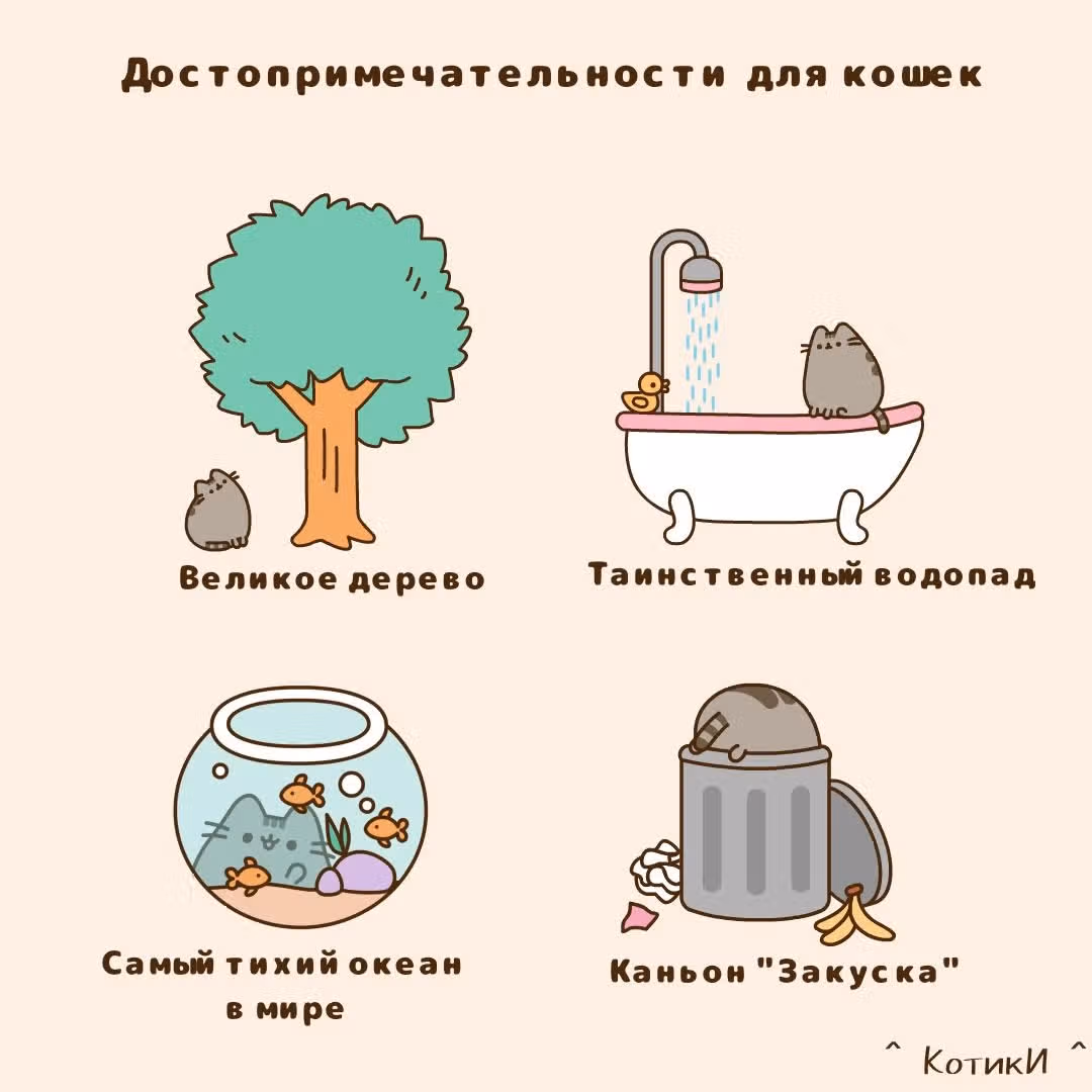 Пушин кэт — Том 1 · Глава 41, страница 1