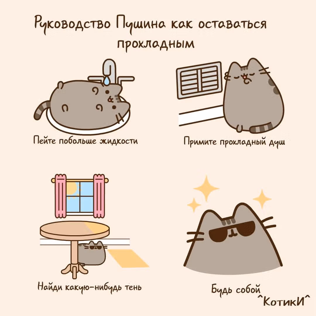 Пушин кэт — Том 1 · Глава 67, страница 1