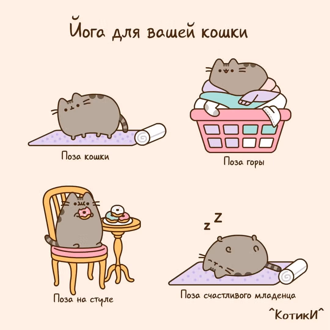 Пушин кэт — Том 1 · Глава 76, страница 1
