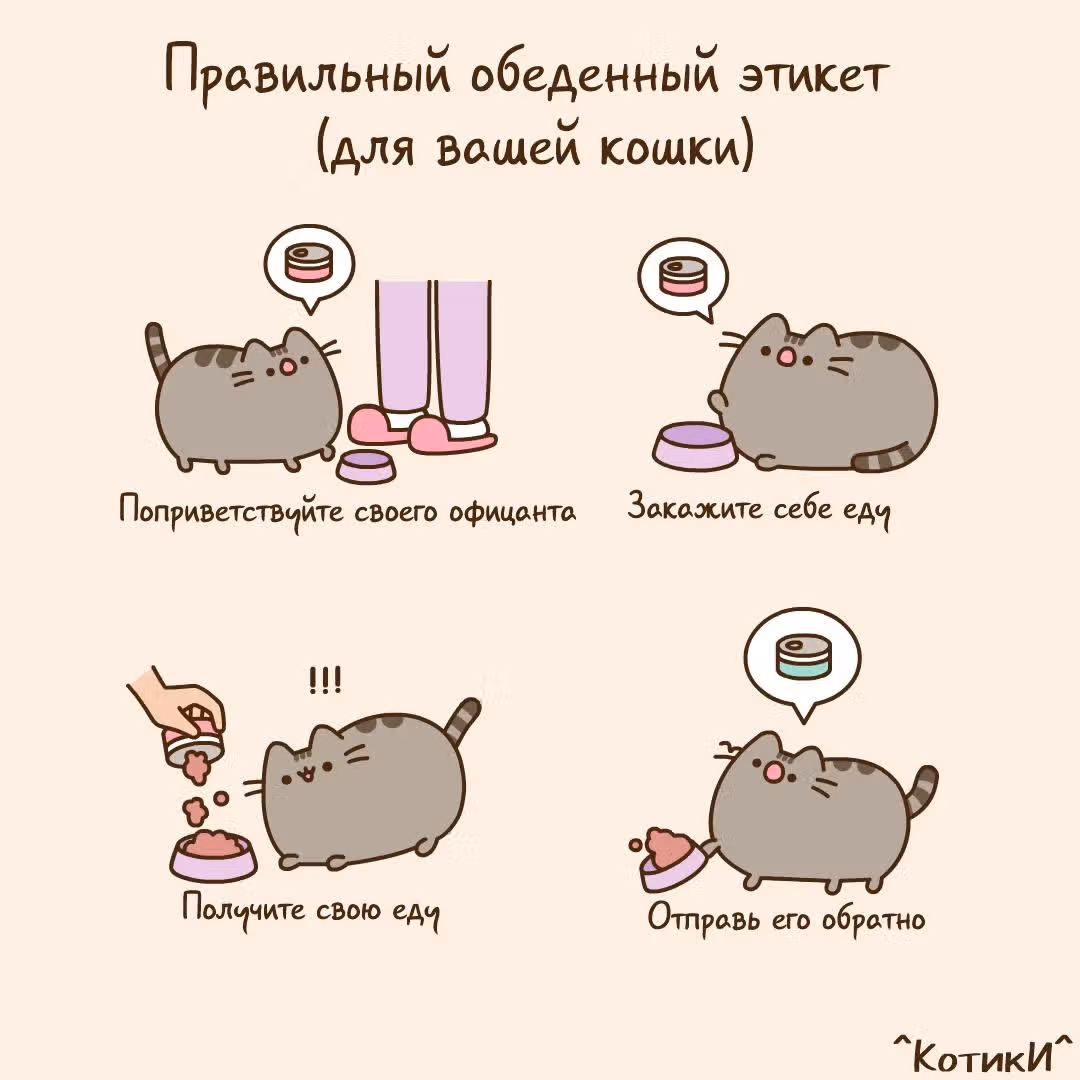 Пушин кэт — Том 1 · Глава 103, страница 1