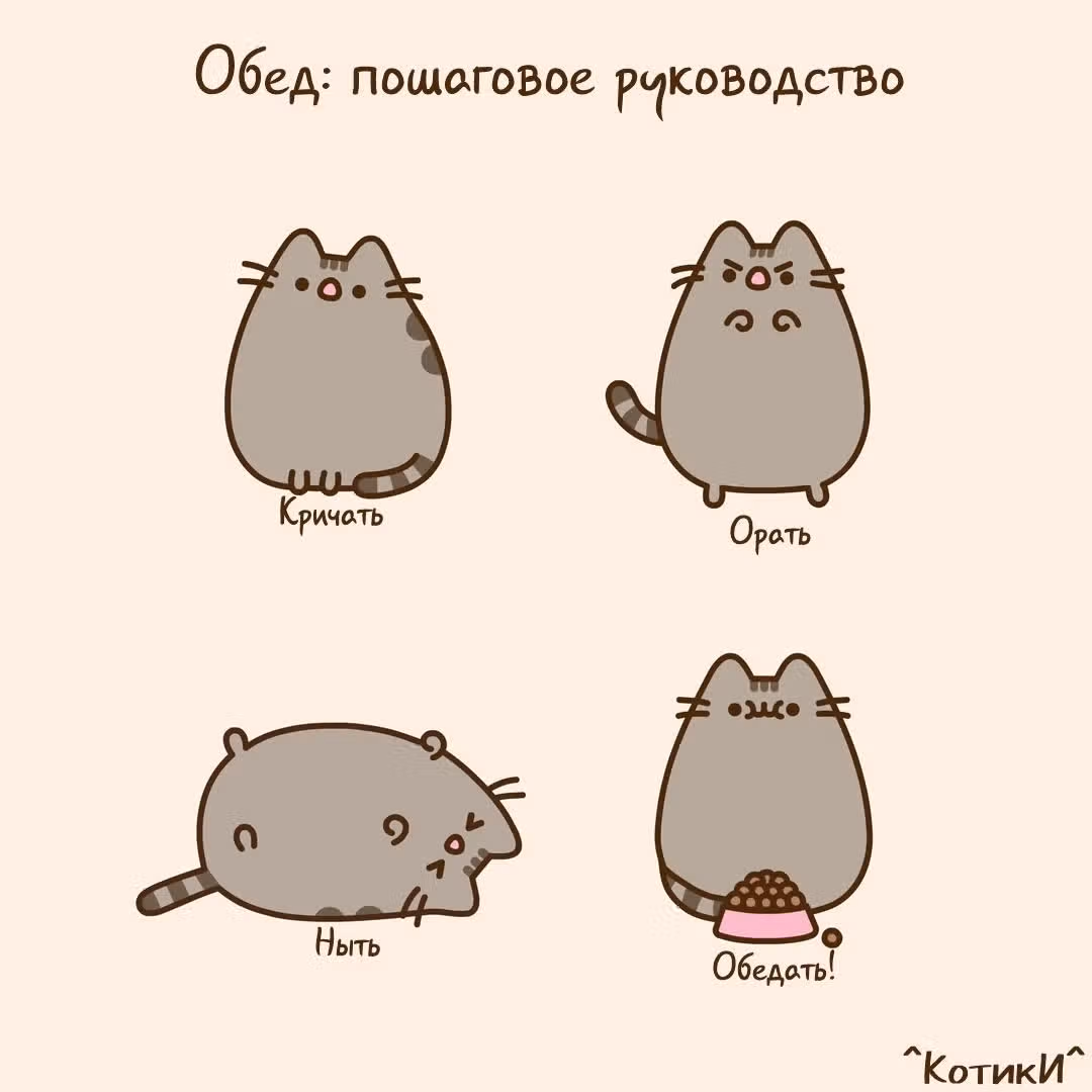 Пушин кэт — Том 1 · Глава 120, страница 1
