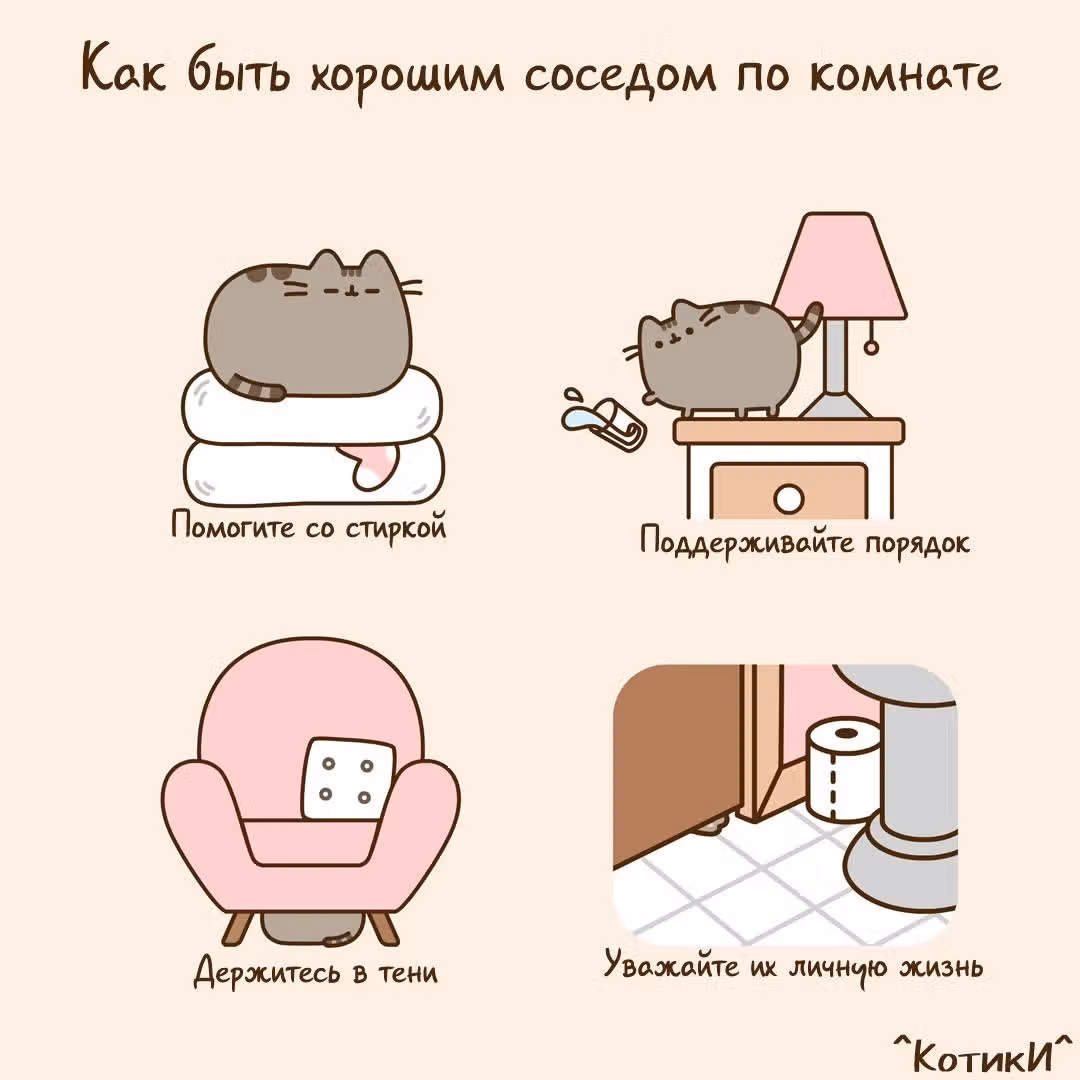 Пушин кэт — Том 1 · Глава 127, страница 1