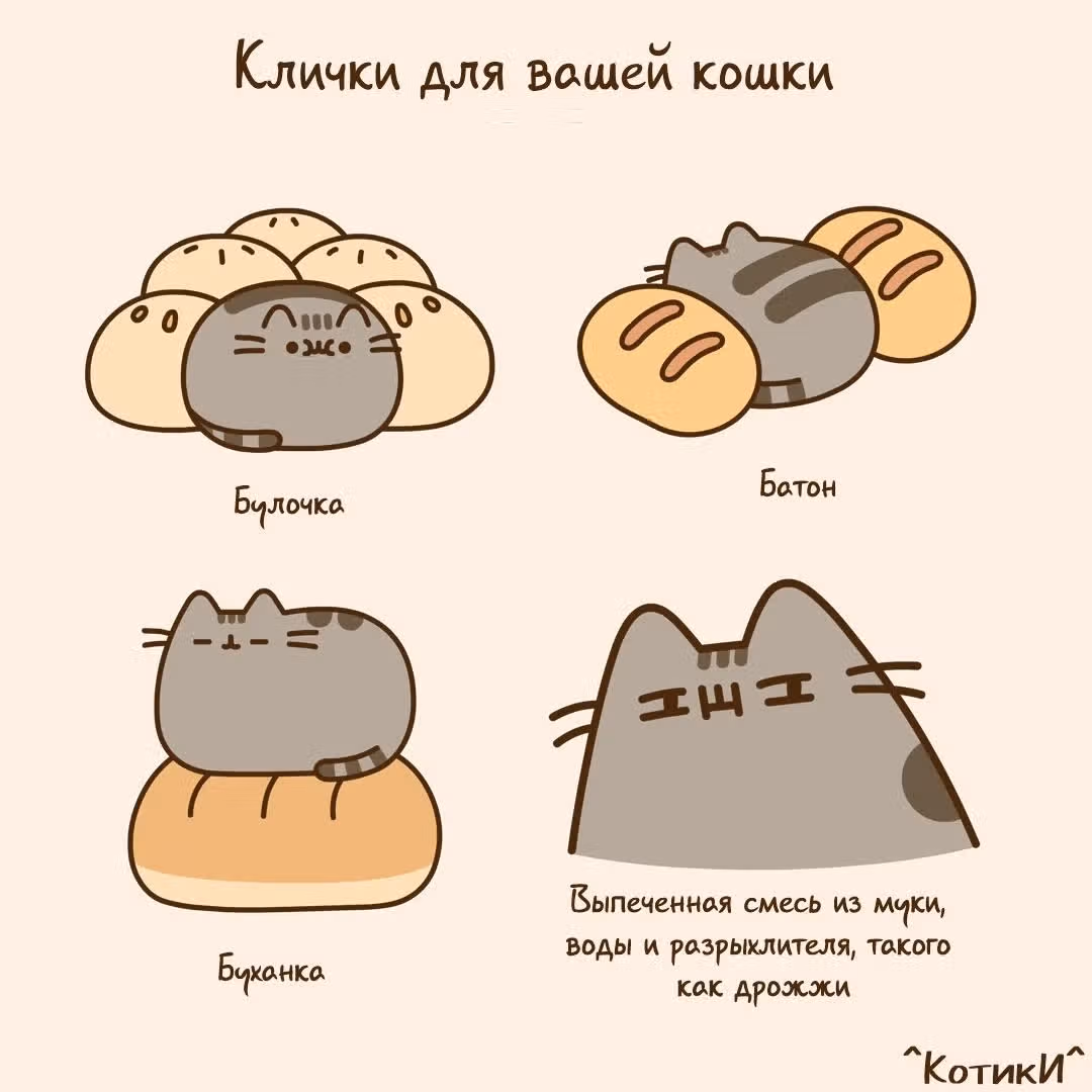Пушин кэт — Том 1 · Глава 140, страница 3