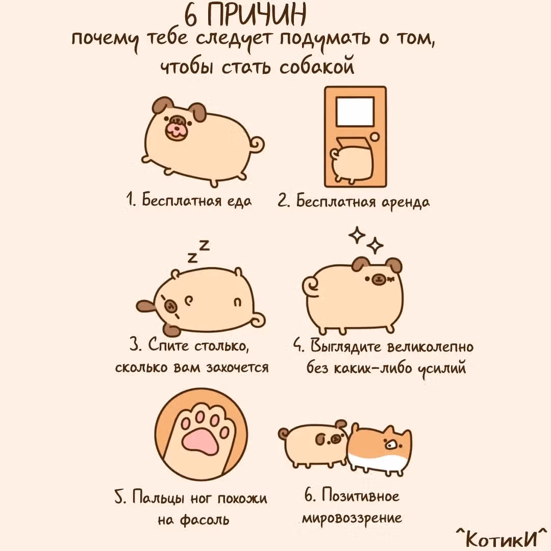 Пушин кэт — Том 1 · Глава 146, страница 2