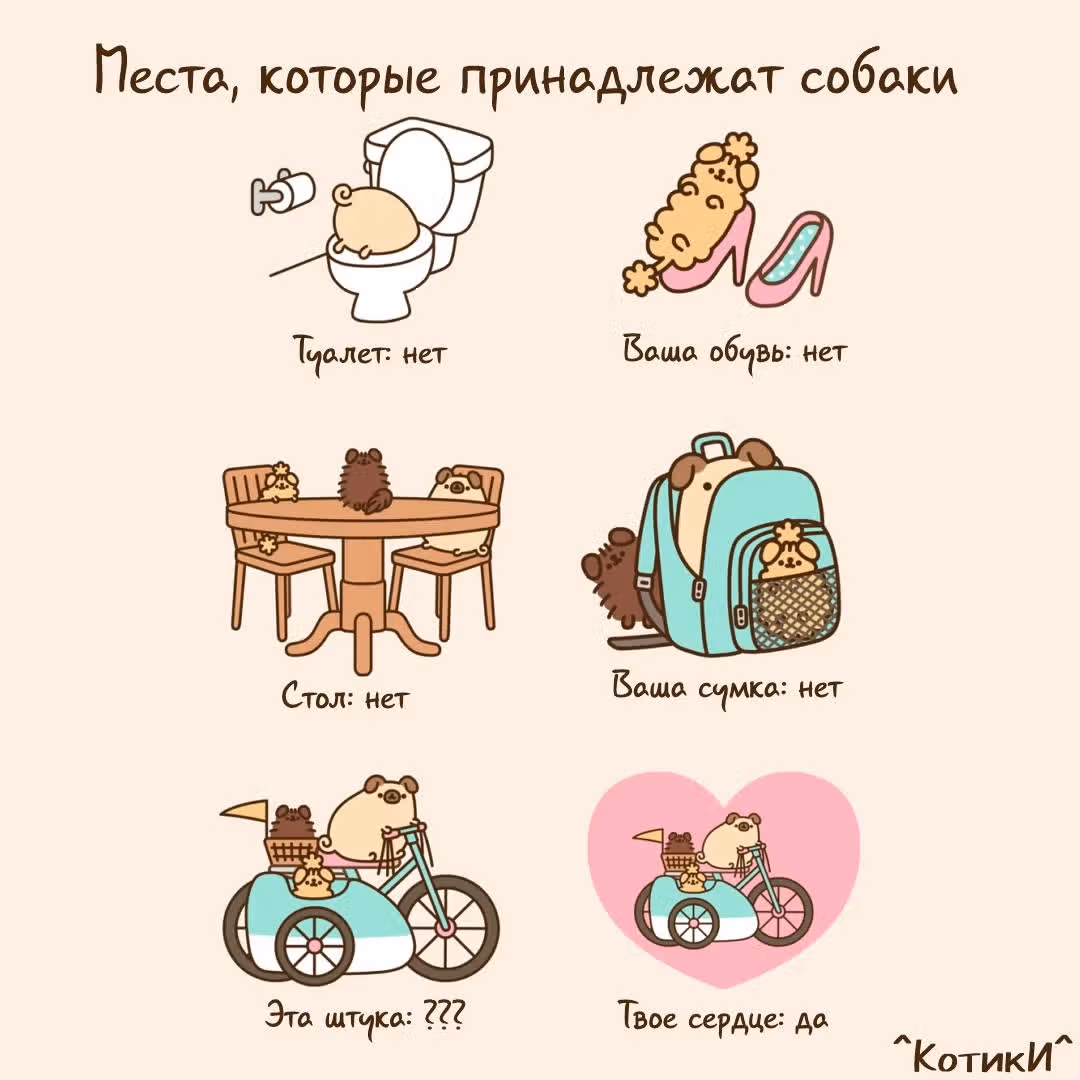 Пушин кэт — Том 1 · Глава 146, страница 3
