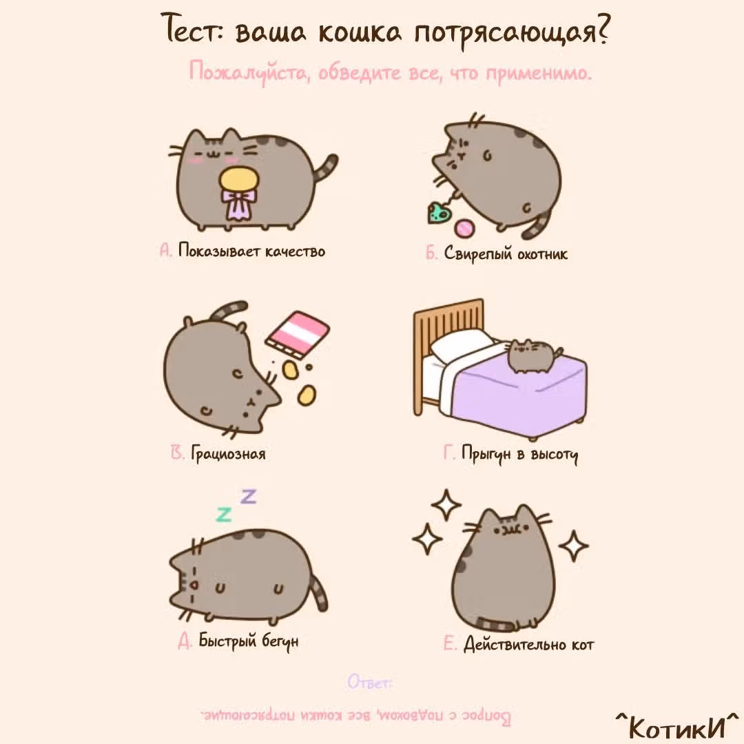 Пушин кэт — Том 1 · Глава 147, страница 2