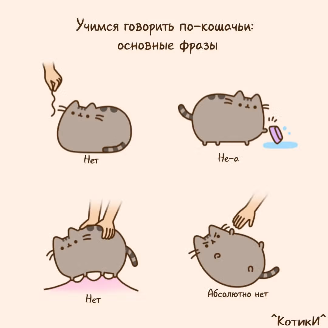 Пушин кэт — Том 1 · Глава 148, страница 3