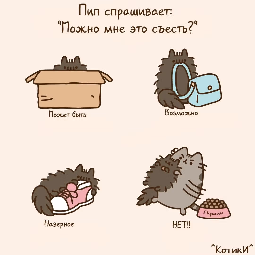 Пушин кэт — Том 1 · Глава 150, страница 3