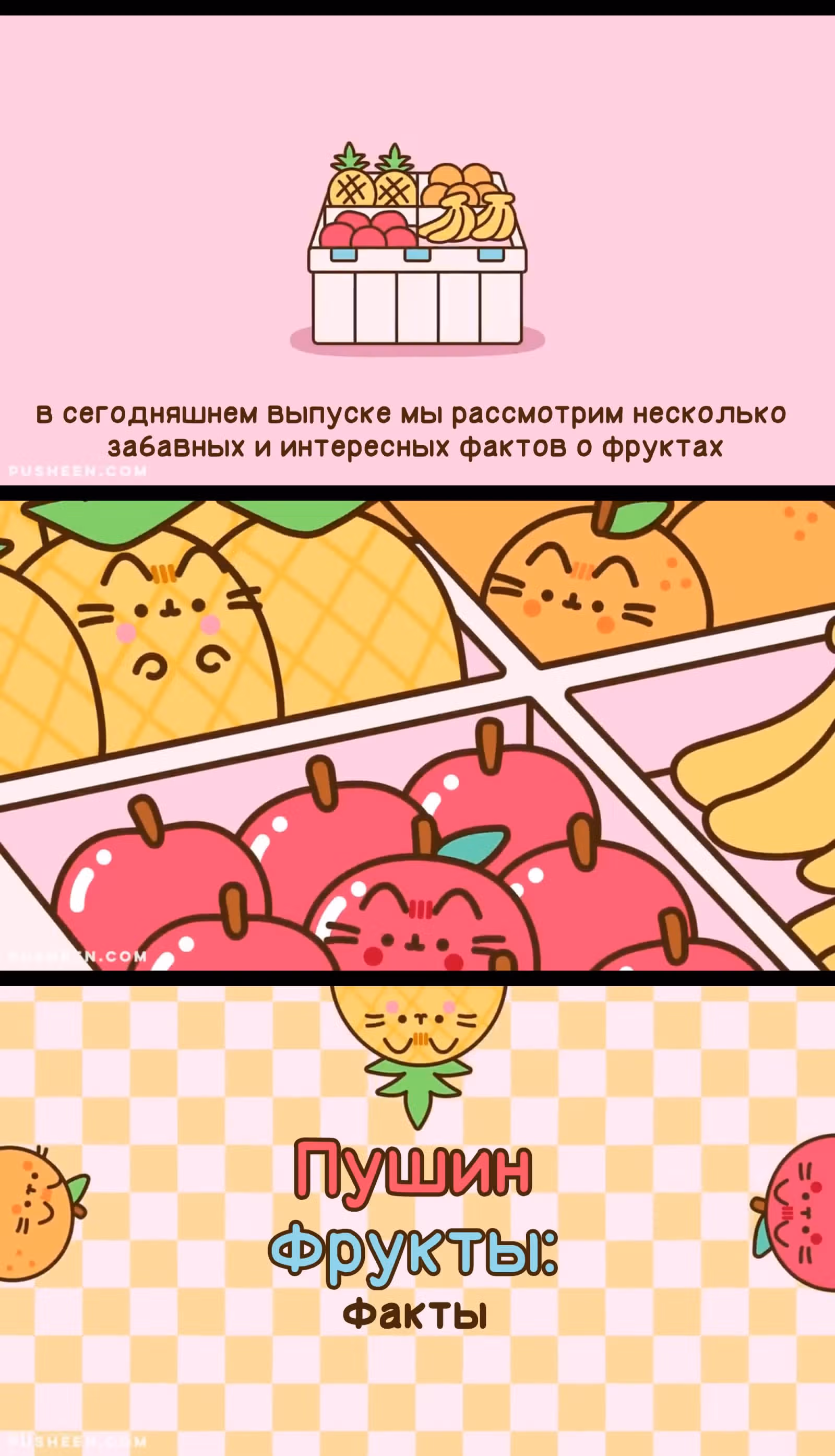 Пушин кэт — Том 1 · Глава 181, страница 1