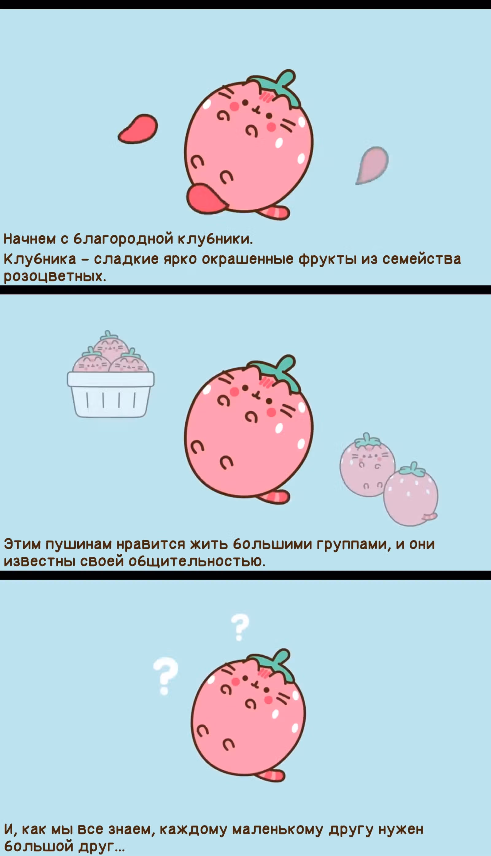 Пушин кэт — Том 1 · Глава 181, страница 2