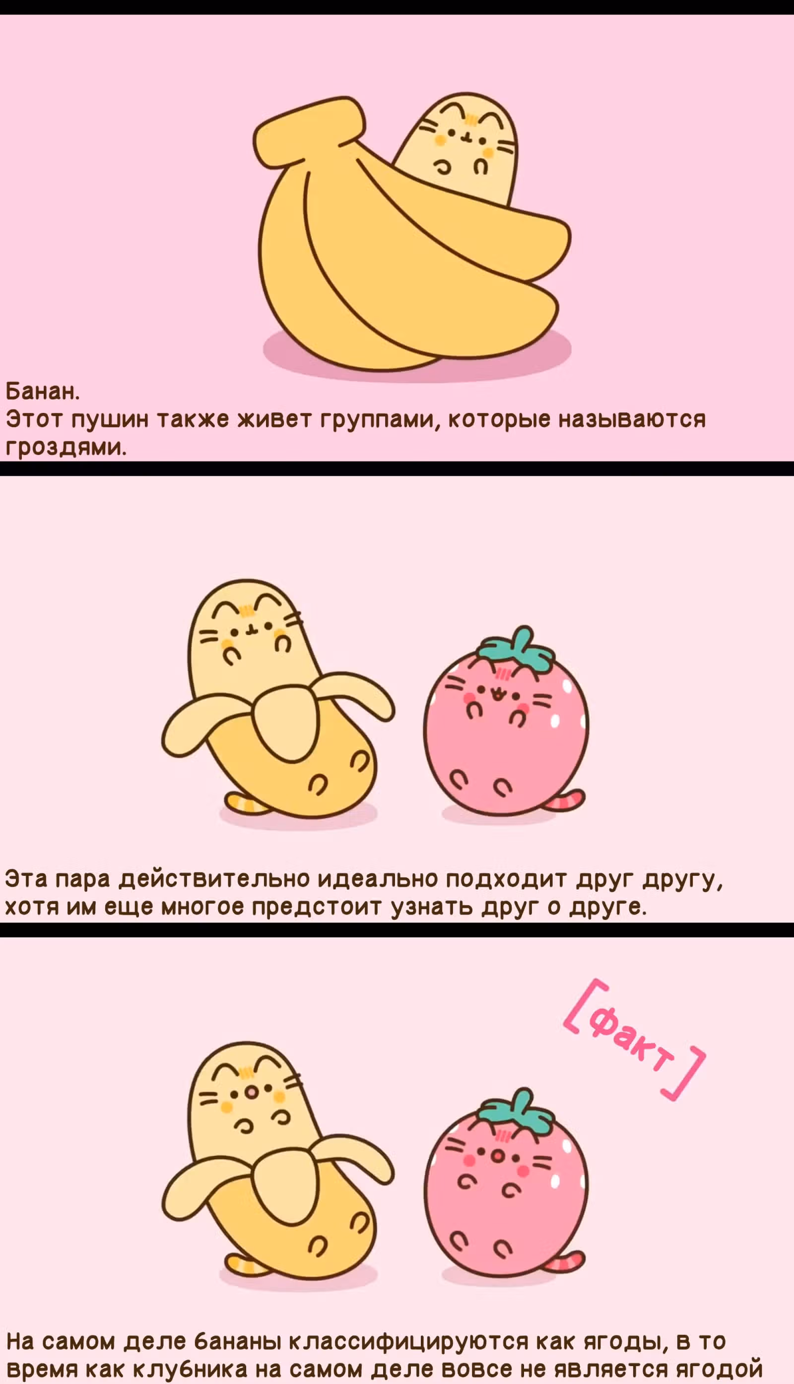 Пушин кэт — Том 1 · Глава 181, страница 3