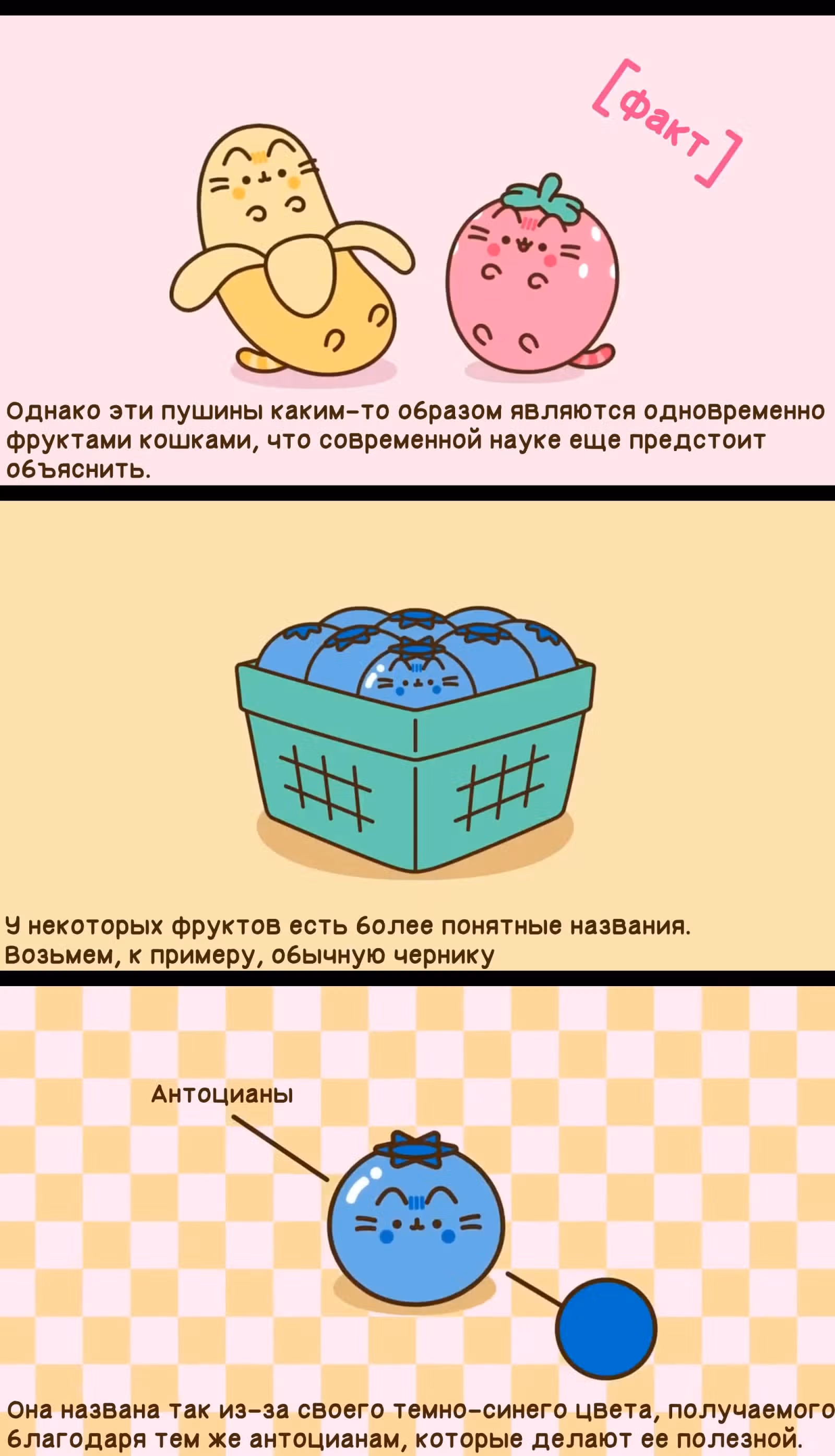 Пушин кэт — Том 1 · Глава 181, страница 4