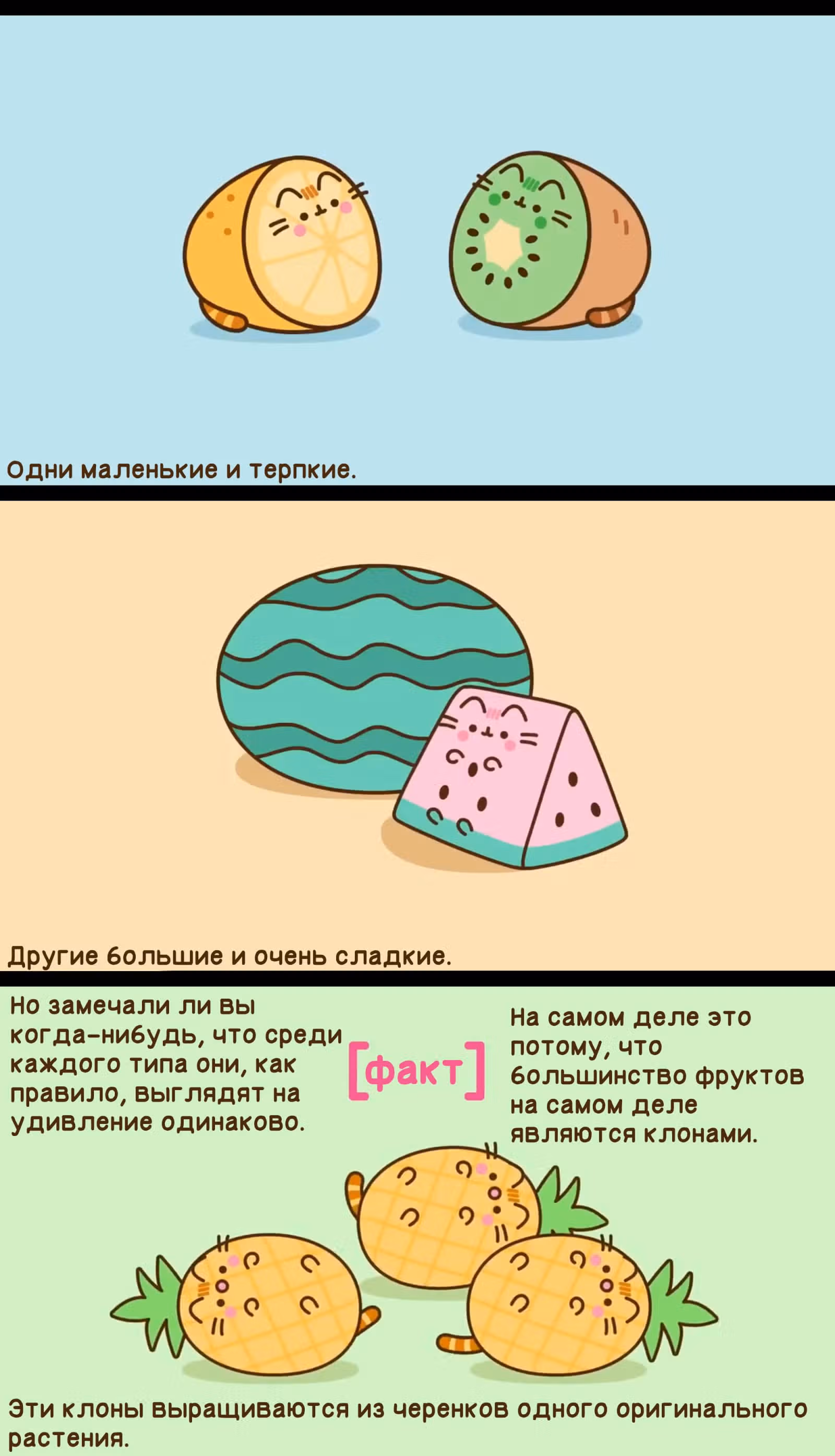 Пушин кэт — Том 1 · Глава 181, страница 6