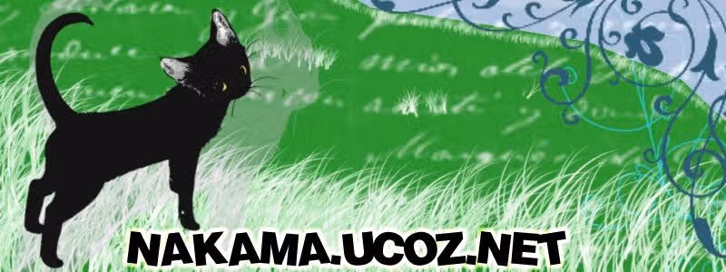 Новый Принц тенниса — Том 1 · Глава 6, страница 19