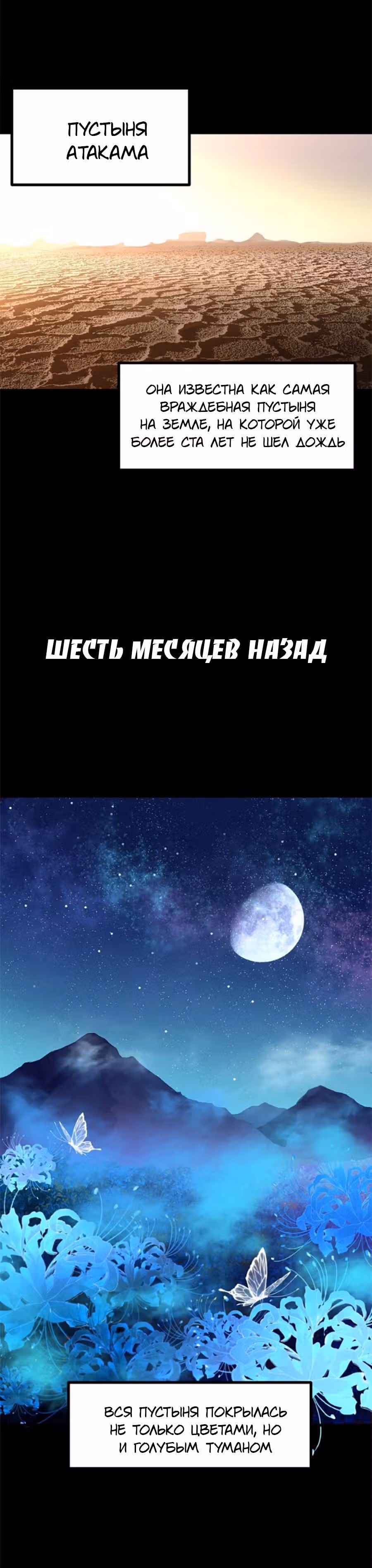 Священные Руины — Том 1 · Глава 3, страница 2