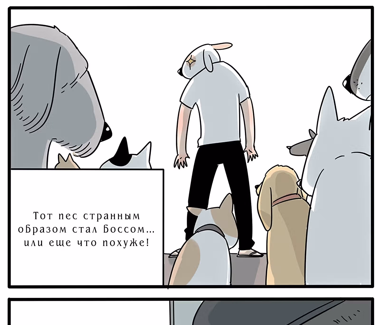 Рыжий лис-неудачник — Том 1 · Глава 13, страница 13