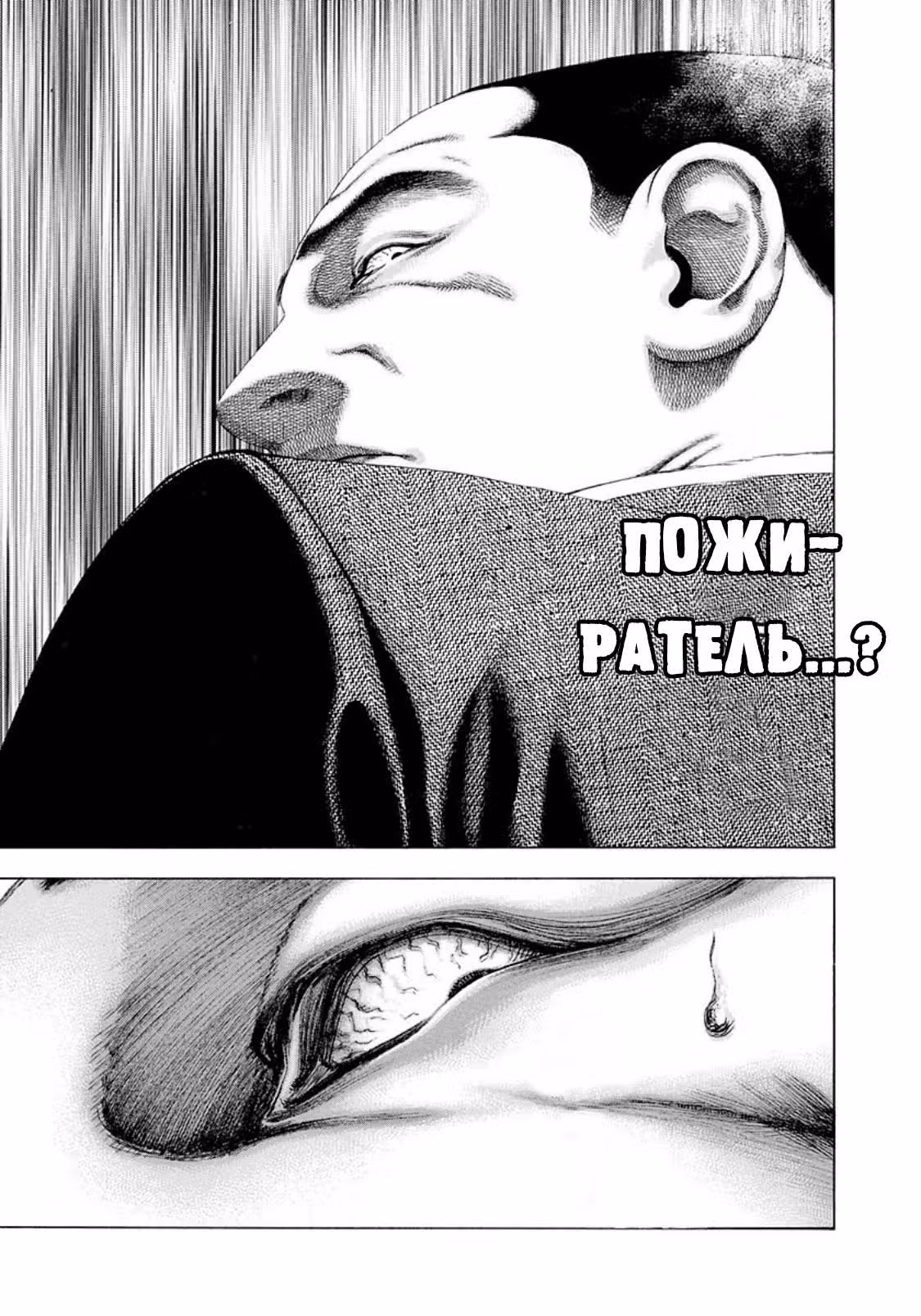 Пожиратель Лжи — Том 13 · Глава 137, страница 16