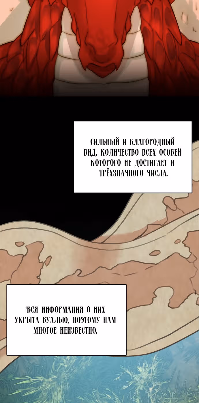 Записи о любви ведьмы и дракона — Том 1 · Глава 11, страница 2
