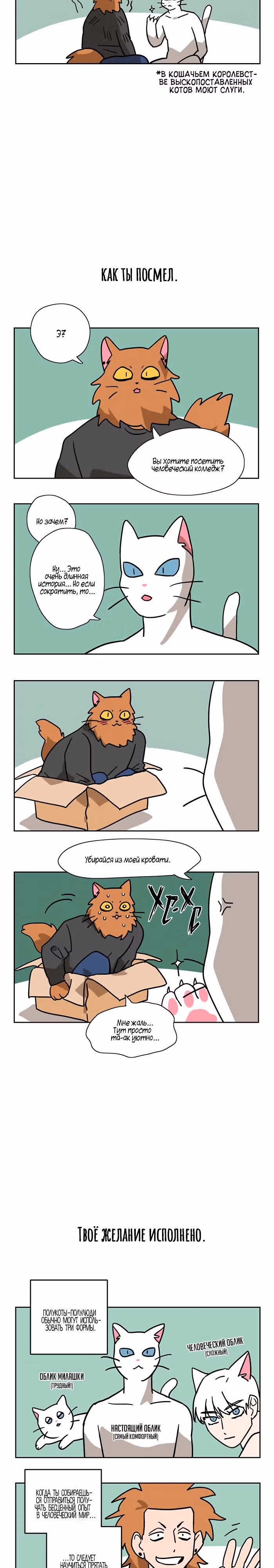 Мяу-парень — Том 1 · Глава 4, страница 6
