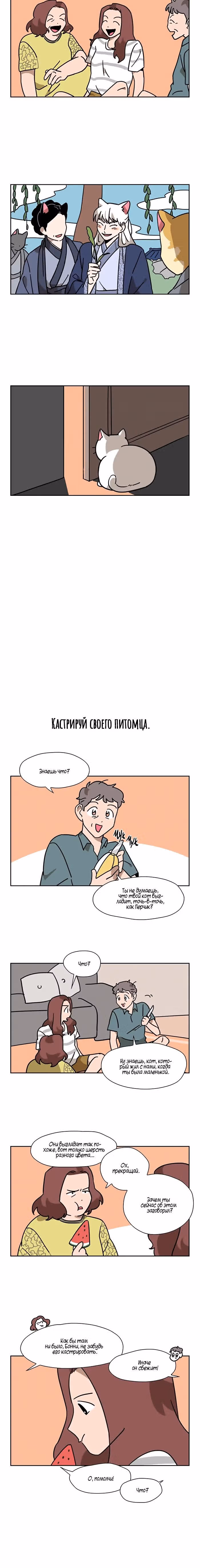 Мяу-парень — Том 1 · Глава 34, страница 7