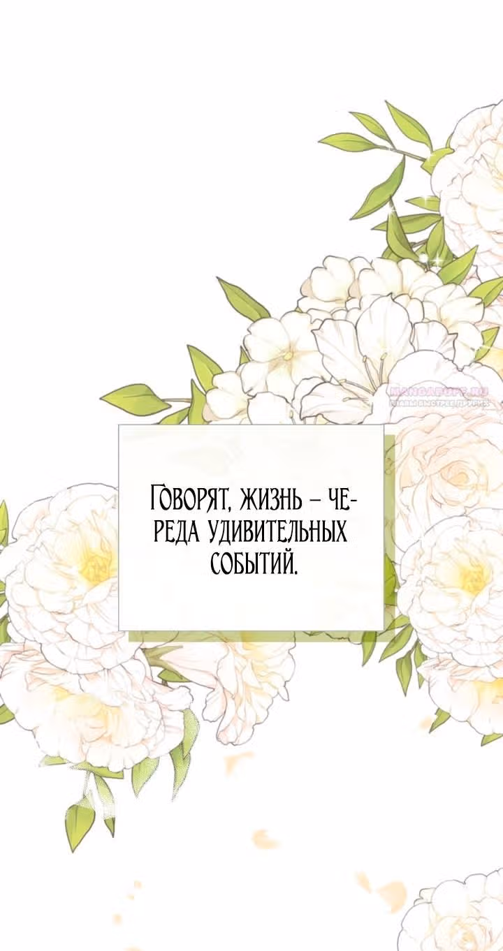 Золушка здесь совсем не я — Том 3 · Глава 142, страница 1