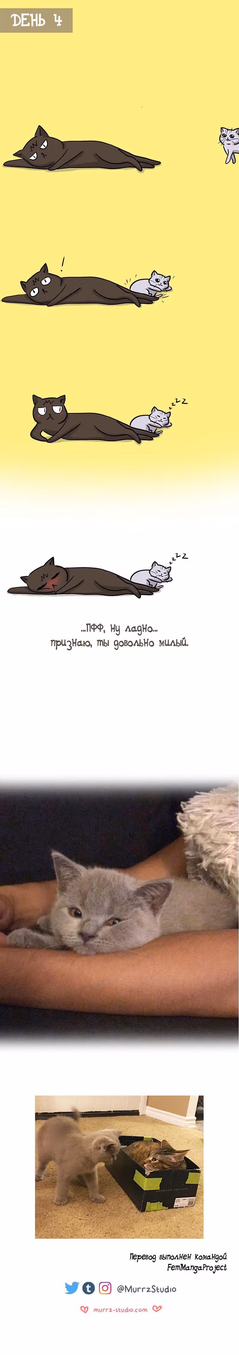 Муррзь — Том 1 · Глава 15, страница 4