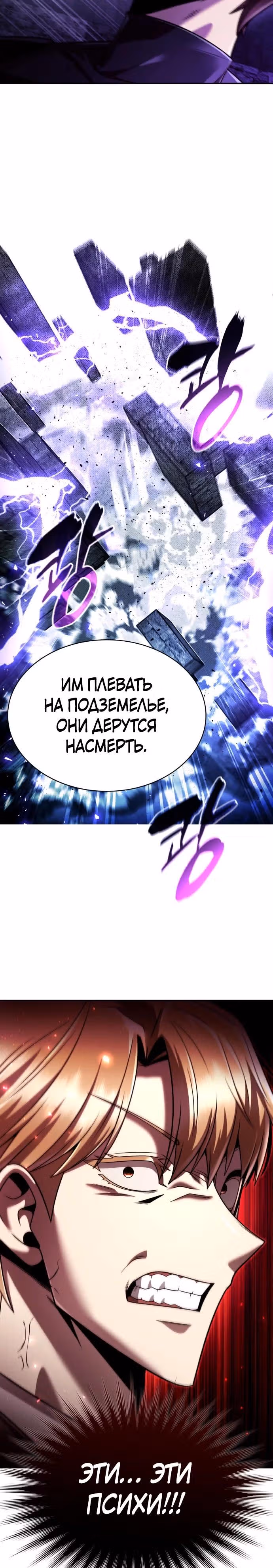 Регрессия Охотника SSS-Класс с Другой профессией — Том 2 · Глава 120, страница 3
