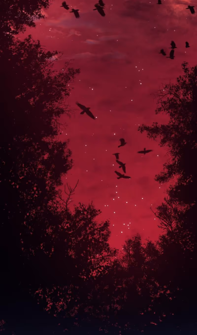 Жнец дрейфующей луны — Том 2 · Глава 104, страница 4