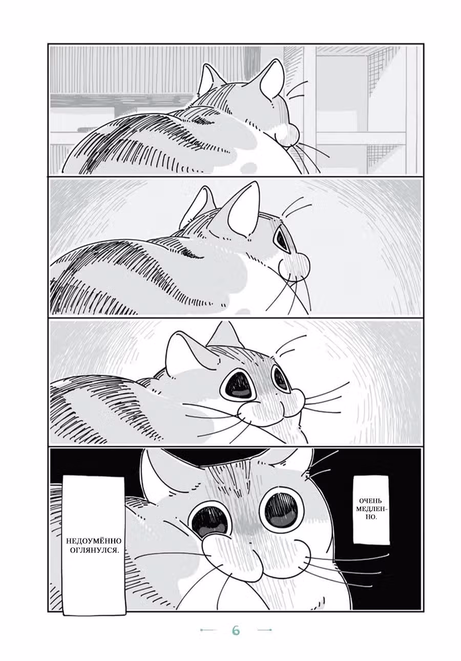 С котом ночью — Том 2 · Глава 1, страница 5