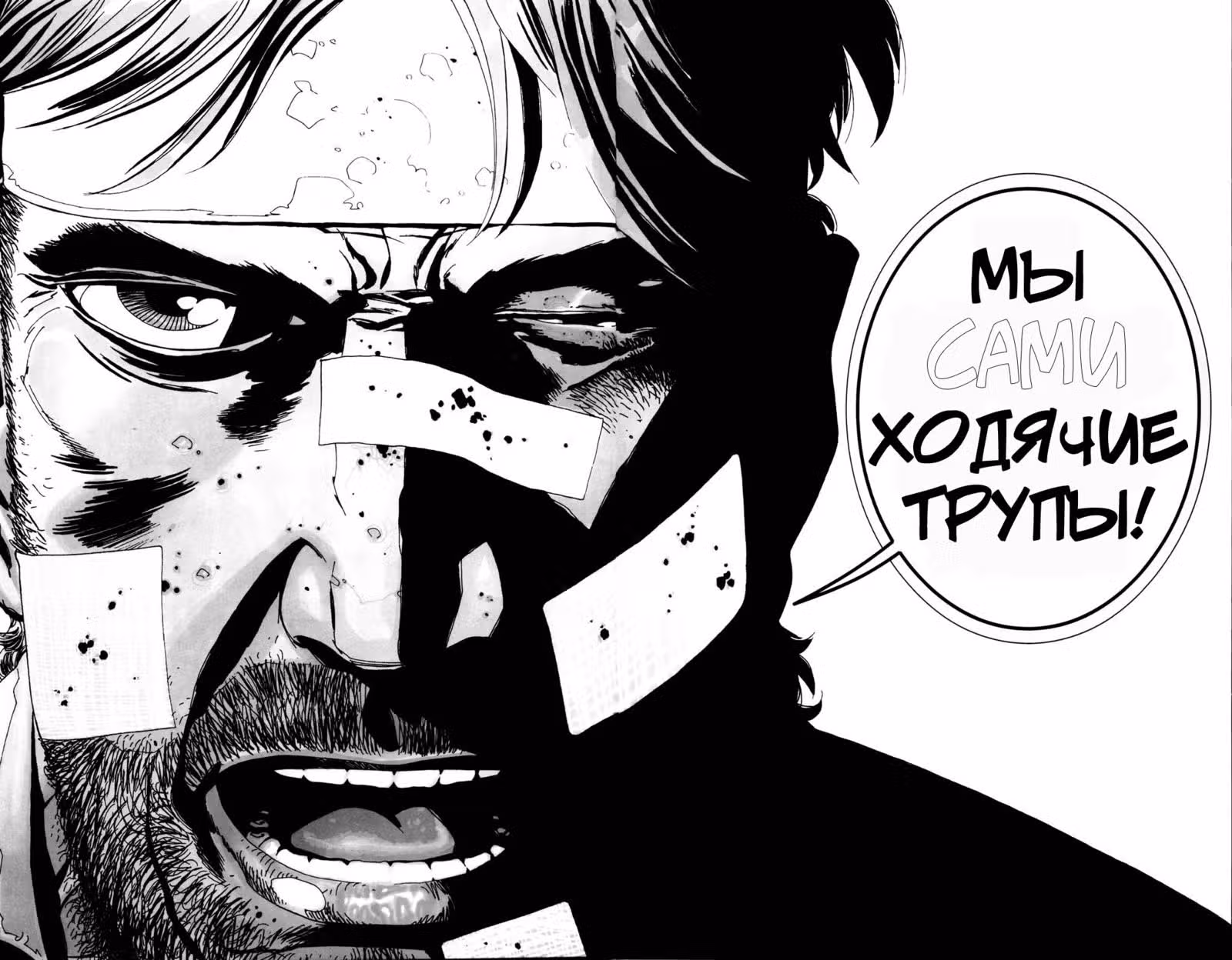 Ходячие мертвецы — Том 4 · Глава 24, страница 21